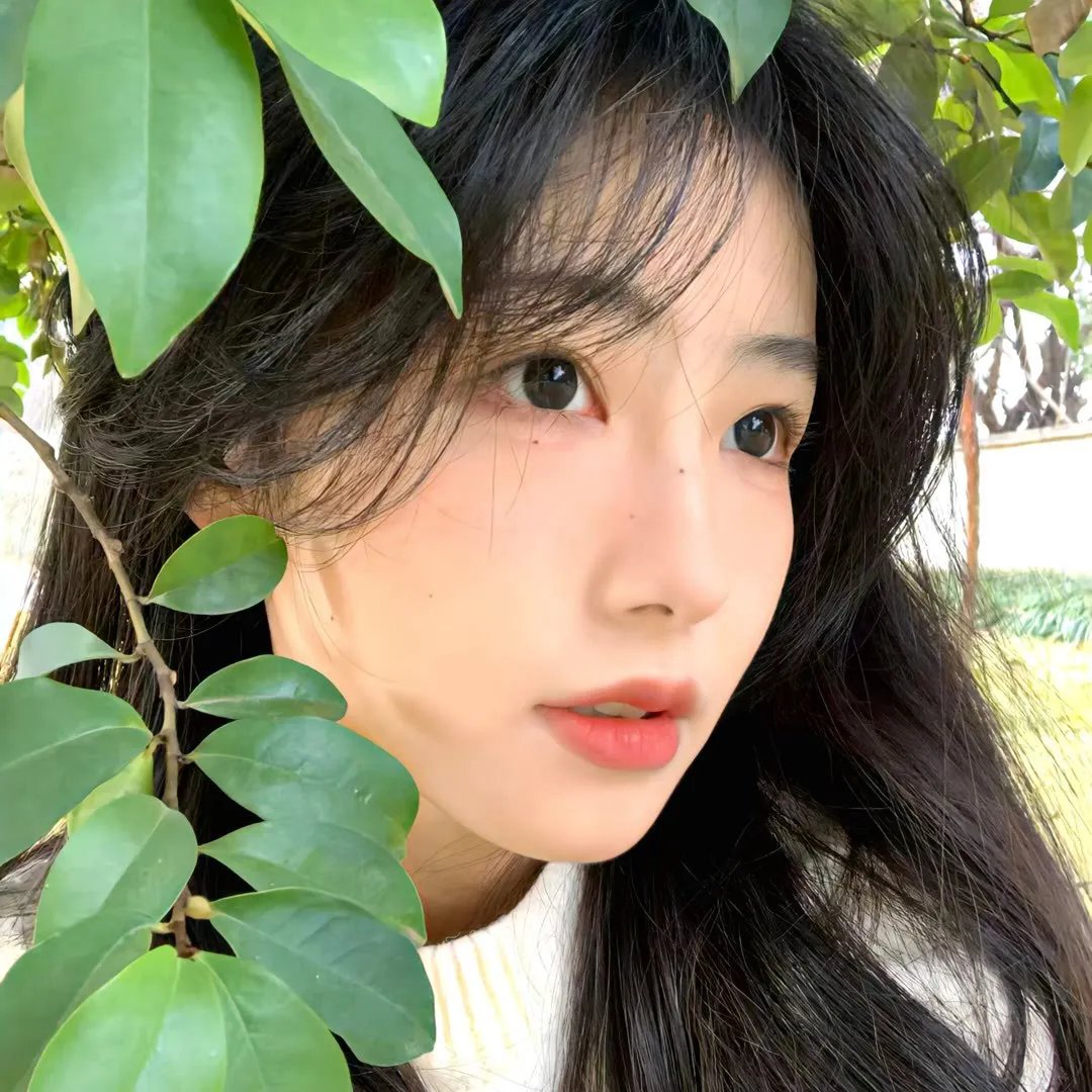 狗和狼的时间